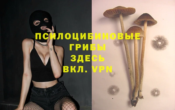 кокс Армянск