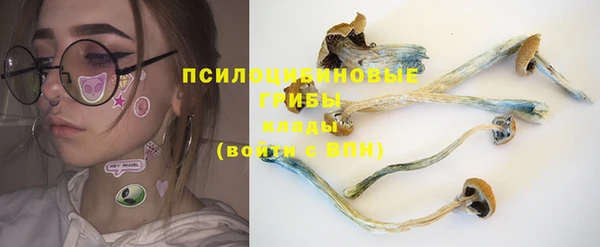каннабис Арсеньев