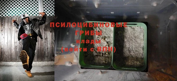 круглые Аркадак