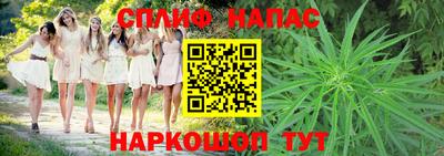 стафф Лесосибирск