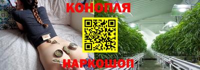 стафф Лесосибирск