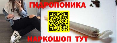 стафф Лесосибирск