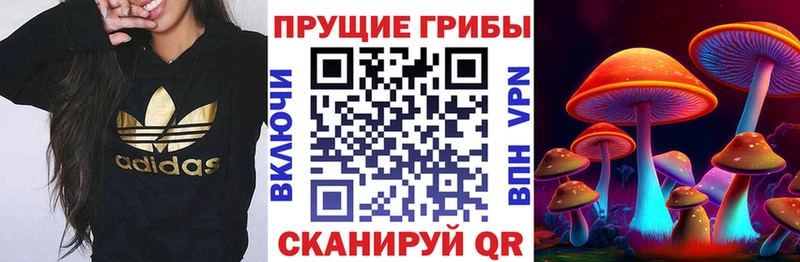 Галлюциногенные грибы MAGIC MUSHROOMS Воткинск