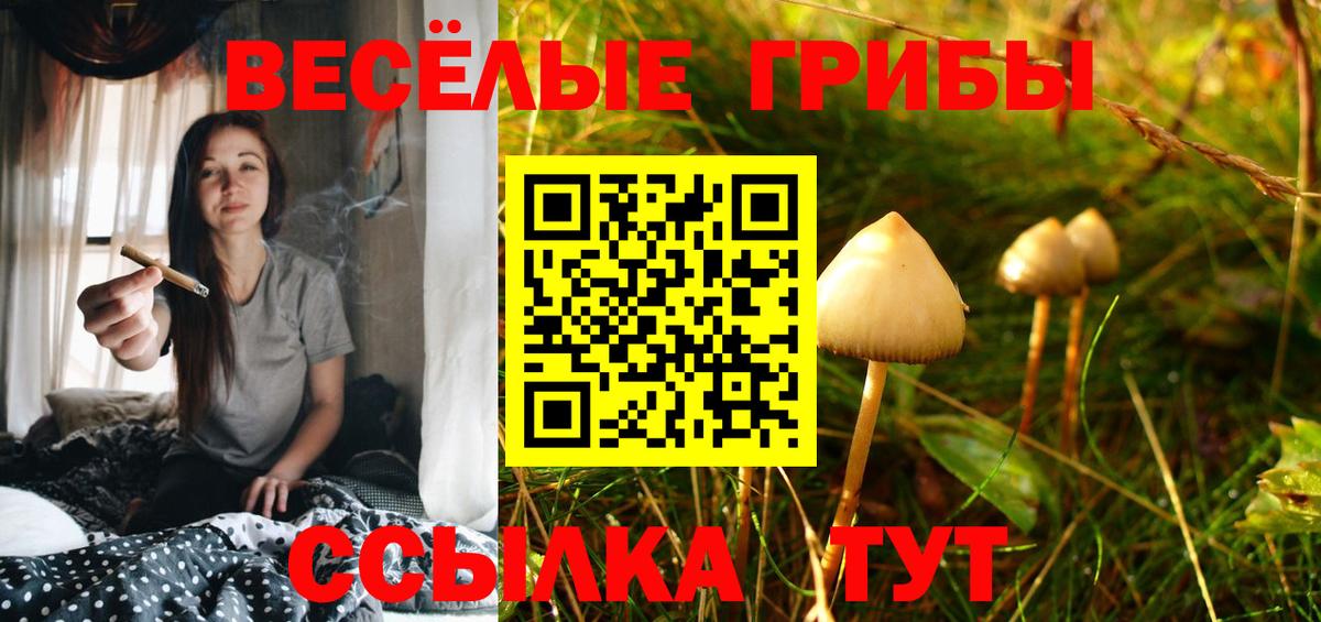 Воткинск  Галлюциногенные грибы прущие грибы  Вход с VPN 