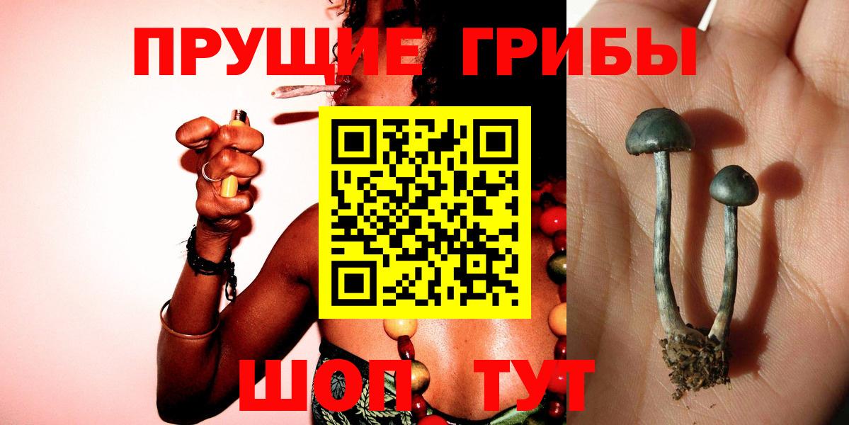 Псилоцибиновые грибы прущие грибы Воткинск